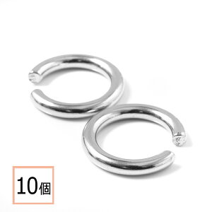 yzyT[WJXeX 316 z C[Jt Vo[ ^CvD 10 nhCh CO p[c AM[΍ ANZT[p[c ≮ X