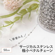 【毎日発送】【サージカルステンレス 316 】 ペタルチェーン シルバー サイズ極小 50cm 切り売り ネック…