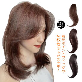 【送料無料】2本入り 前髪ウィッグ 部分ウィッグ つけ毛 小顔 簡単 ワンタッチ ヘアアレンジ ウイッグ 耐熱ウィッグ エクステンション ポイントウィッグ 前髪ポイントウイッグ ヘアピース 増毛