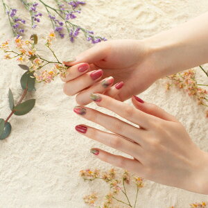 esshimo GbV[ Fit Fix gel nail Nuance Garden jAXK[f \邾 d GVJlC nhlC WFlCV[ fUClC lCXebJ[ sss