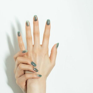 esshimo GbV[ Fit Fix gel nail Nuance Ice Green jAXACXO[ \邾 d GVJlC nh WFlCV[ fUClC lCXebJ[ sss