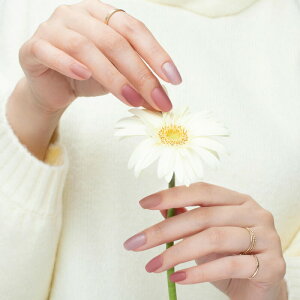 esshimo GbV[ Fit Fix gel nail Sheer Rose VA[[Y \邾 d GVJlC nhlC WFlCV[ ZtlC fUClC lCXebJ[ sss