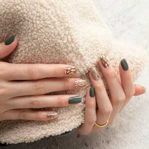 esshimo GbV[ Fit Fix gel nail Leopard Copper Ip[hRbp[ \邾 d GVJlC nhlC WFlCV[ fUClC lCXebJ[ sss