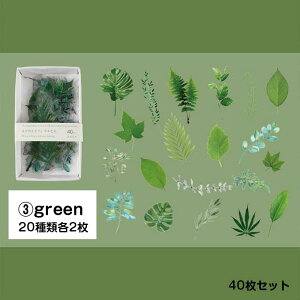 yoׁz fR[VV[ PVC ؍   t[ XebJ[  菑 Vv V[ sN   F CXg fR  킢 蒠 ̎q w w w