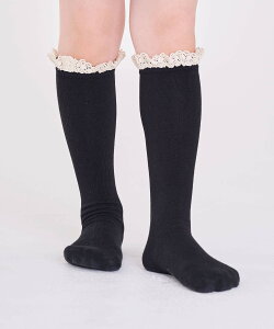 qRora }C}C nC\bNX [X C nC\bNX qǂ LbY ̎q  tH[} JWA Vv lۂ   ubN zCg   ܎O 