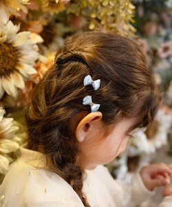 yVzqRora fBA wANbv 2Zbg q LbY ̎q wAs { n[g  Ă΂  w  Ǝ sAm\ ʉ ʊw w ~jN