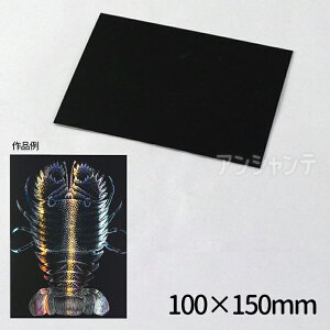 zOXNb`{[h2 150×200mm 1 / I[ p }H py H A[g |p  XNb` Ntg ` i  H p RH ċx ~x }H nhN