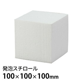 発泡スチロール 100×100×100mm 1個入 / スチロール 発泡 スチレン 立体 立方体 さいころ サイコロ 模型 展示 無地 未着色 加工 白 ホワイト 素材 材料 夏休み 冬休み 自由工作 図工 ハンドクラフト アーテック artec 学校 教材【宅配便】