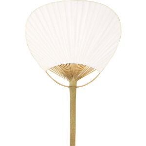   | / n c Cxg  artec A[ebN yzցz