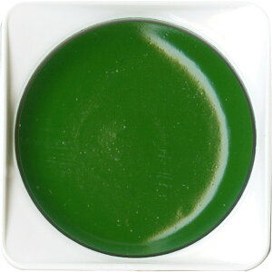 ݌ɌIy|z ʐ[ No.52 1 / { CXg fUC  XPb` p A[g  G 莆 nKL t ޗ kuretake ꂽ | 痿y䂤pPbgΉz