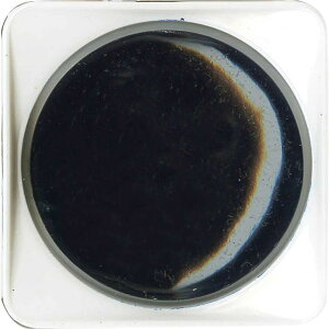 ݌ɌIy|z ʐ[ No.65 1 / { CXg fUC  XPb` p A[g  G 莆 nKL t ޗ kuretake ꂽ | 痿y䂤pPbgΉz