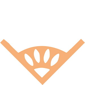 y|zKurePunch Corner CUTTING FRUIT LAp` R[i[ JbeBOt[c 1 / y[p[Ntg p` Ao EFfBO EGfBO nhCh kuretake ꂽ |y