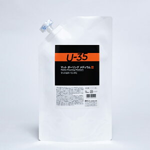 y^[i[zU-35 ANbNX }bg|[OfBE 1L 1 / AN G G̋ ̂ G` yCeBO  CN CL   CXg A[gy