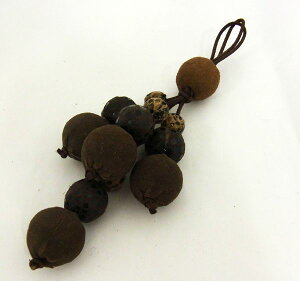 ݌Ɍ!{vr[Y^bZ ZuEn3y䂤pPbgΉz