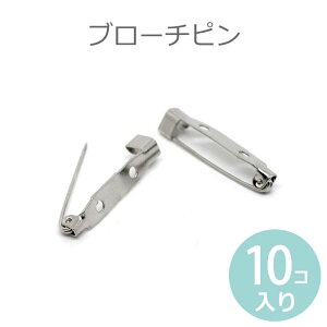 31×6mm 10 u[`u[`s  Vo[g[ / RT[W Ss Es ԃs  p[cnhChށy䂤pPbgΉz