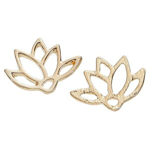 2 11mm×15mm t[p[c @̉ bL / W g p[c nhCh ANZT[p[c qp[c Ȃ ڑ S[hJ[ `[ ^ {^jJ [^