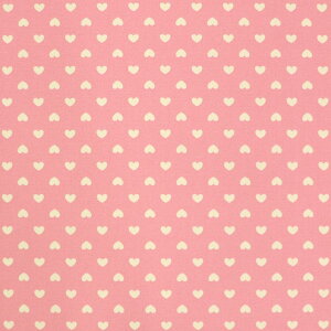 ͗l xr[sN 110cm 10cm IbNXn / n[g z 100 sN F   ҂ sN  nhChޗ  y䂤pPbgΉz