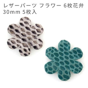 ݌ɌI5 30mm U[p[c t[ 6ԕ / U[`[ v^O v Ntg nhCh  sAX ANZT[  y䂤pPbgΉz