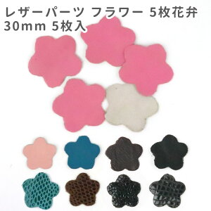 ݌ɌI5 30mm U[p[c t[ 5ԕ / U[`[ v^O v Ntg nhCh  sAX ANZT[   y䂤pPbgΉz
