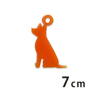 AN`[ 1E7cm 2mm IׂLxȃJ[ AVe{ / ANZT[p[c obO`[ r[ CeA nhChޗ W y䂤pPbgΉz