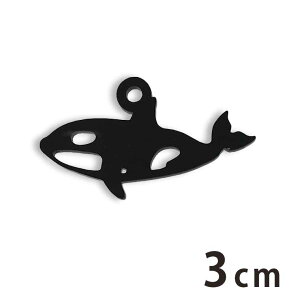 AN`[ V` 3cm 2mm IׂLxȃJ[ AVe{ /   C  ANZT[p[c sAX CO uXbgnhChޗ W y䂤p