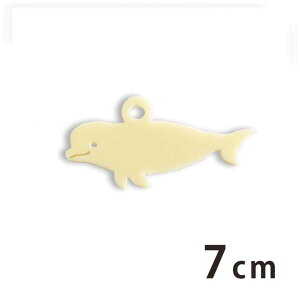 AN`[ CJ 7cm 2mm IׂLxȃJ[ AVe{ / x[K 邩 htB ANZT[p[c sAX CO uXbgnhChޗ W