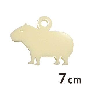 AN`[ Jso 7cm 2mm IׂLxȃJ[ AVe{ / Jsp ANZT[p[c Aj}V[Y V[Y   sAX CO u