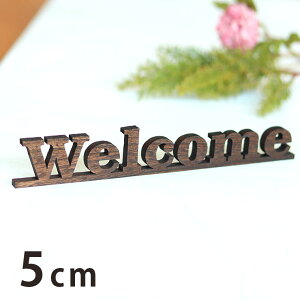 5cm 9mm ؂蔲v[g At@xbg啶E ؐ AVe{ / IWii ؂蕶 ؕ ċ [} p[c Ntg DIY \D l[v[g Ŕ Eb