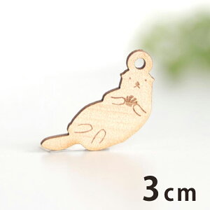 ؐ`[ bR 3cm 3mm AVe{ /   Aj}  ANZT[p[c sAX CO bsO nhChޗ ANZg y䂤pPbgΉz