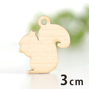 ؐ`[ X 3cm 3mm AVe{ / 肷 Il  Aj} ANZT[p[c sAX CO bsO nhChޗ ANZg y䂤pPbgΉz