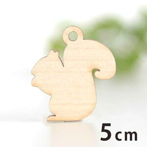 ؐ`[ X 5cm 3mm AVe{ / 肷 Il  Aj} ANZT[p[c sAX CO bsO nhChޗ ANZg y䂤pPbgΉz