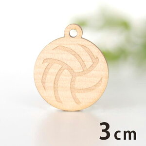 ؐ`[ o[{[ 3cm 3mm AVe{ / oG  X|[c ^ Nu T[N ANZT[p[c sAX CO bsO nhChޗ  y䂤pP