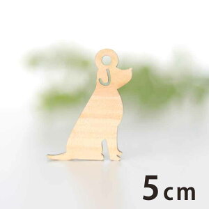 ؐ`[ 2 5cm 3mm AVe{ /  Ck  Aj} hbO ANZT[p[c sAX CO bsO nhChޗ ANZg y䂤pPbgΉz