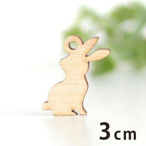 ؐ`[ 2 3cm 3mm AVe{ / ETM e  Aj} rbg ANZT[p[c sAX CO bsO nhChޗ ANZg y䂤pPbgΉ