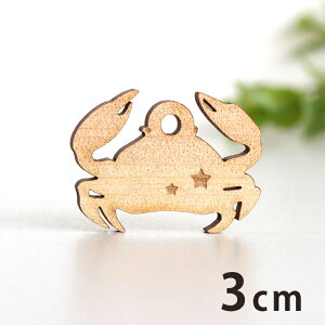 ؐ`[ Jj 3cm 3mm AVe{ /  I } ANZT[p[c sAX CO bsO nhChޗ ANZg y䂤pPbgΉz