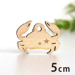 ؐ`[ Jj 5cm 3mm AVe{ /  I } ANZT[p[c sAX CO bsO nhChޗ ANZg y䂤pPbgΉz