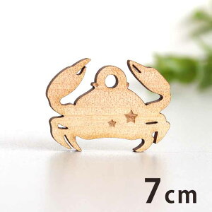 ؐ`[ Jj 7cm 3mm AVe{ /  I } ANZT[p[c sAX CO bsO nhChޗ ANZg y䂤pPbgΉz