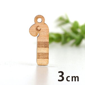 ؐ`[ `AiS 3cm 3mm AVe{ /  sea } ANZT[p[c sAX CO bsO nhChޗ ANZg y䂤pPbgΉz