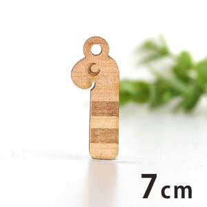 ؐ`[ `AiS 7cm 3mm AVe{ /  sea } ANZT[p[c sAX CO bsO nhChޗ ANZg y䂤pPbgΉz