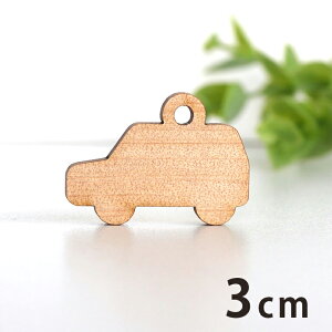 ؐ`[ 1 3cm 3mm AVe{ /  蕨 ̂ car X|[c hCu  ^] ANZT[p[c sAX CO bsO nhChޗ ANZg 