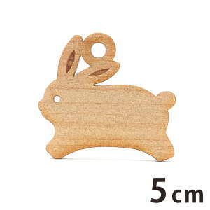 ؐ`[ x  5cm 3mm AVe{ / x e ETM K \x  N a a Gn q rbg ANZT[p[c sAX CO bsO n