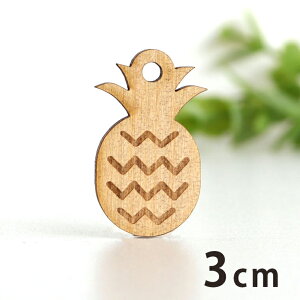 ؐ`[ pCibv 3cm 3mm AVe{ / pC gsJ t[c 썑 ʕ Hו ANZT[p[c sAX CO bsO nhChޗ  y䂤p