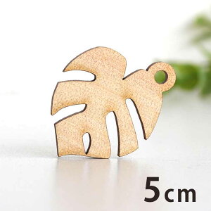 ؐ`[ Xe 5cm 3mm AVe{ / t ͂ 썑 {^jJ ϗtA ANZT[p[c sAX CO bsO nhChޗ ANZg y䂤p