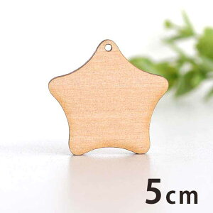 ؐ`[ 2 5cm 3mm AVe{ / ق X^[ star ANZT[p[c sAX CO bsO nhChޗ ANZg y䂤pPbgΉz