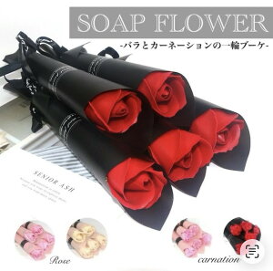 yXC`IVzlC \[vt[  ͂ȂΌ̂ԂŃv[g②蕨ɂ߁yMtg Ǝ  C ̓ j a v[g Ό  \[v 