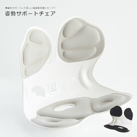 姿勢サポートチェア 人間工学チェア エルゴノミクスチェア 腰痛対策 腰・背中を優しく支える健康サポート設計 テレワーク・在宅勤務に最適な高機能チェア