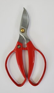 sita n@~j|nT~@135mm@ @A916