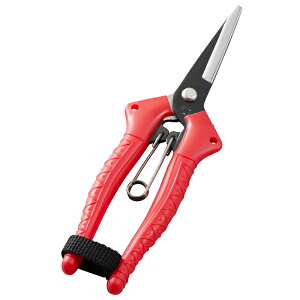 �X�[�p�|������@170mm�@K-2