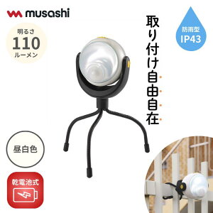 �l���Z���T�[���C�g ���O �h�ƃ��C�g ���d�r�� LED�Z���T�[���C�g ���T�V RITEX LED�ǂ��ł��Z���T�[���C�g 6�����ۏؕt(ASL-090) �Z���T�[���C�g ��퓔 led �h�ƃO�b�Y ���C�g �����^�� �A�E�g�h