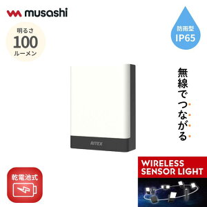 �l���Z���T�[���C�g ���O �h�ƃ��C�g LED�Z���T�[���C�g ���T�V RITEX ���d�r�������A���`���C�������C�g ��M�^�iW-650�j ���d�r�� ���C�����X led���C�g �G�N�X�e���A �Ɩ� �A���[�� �� �h�ƃO